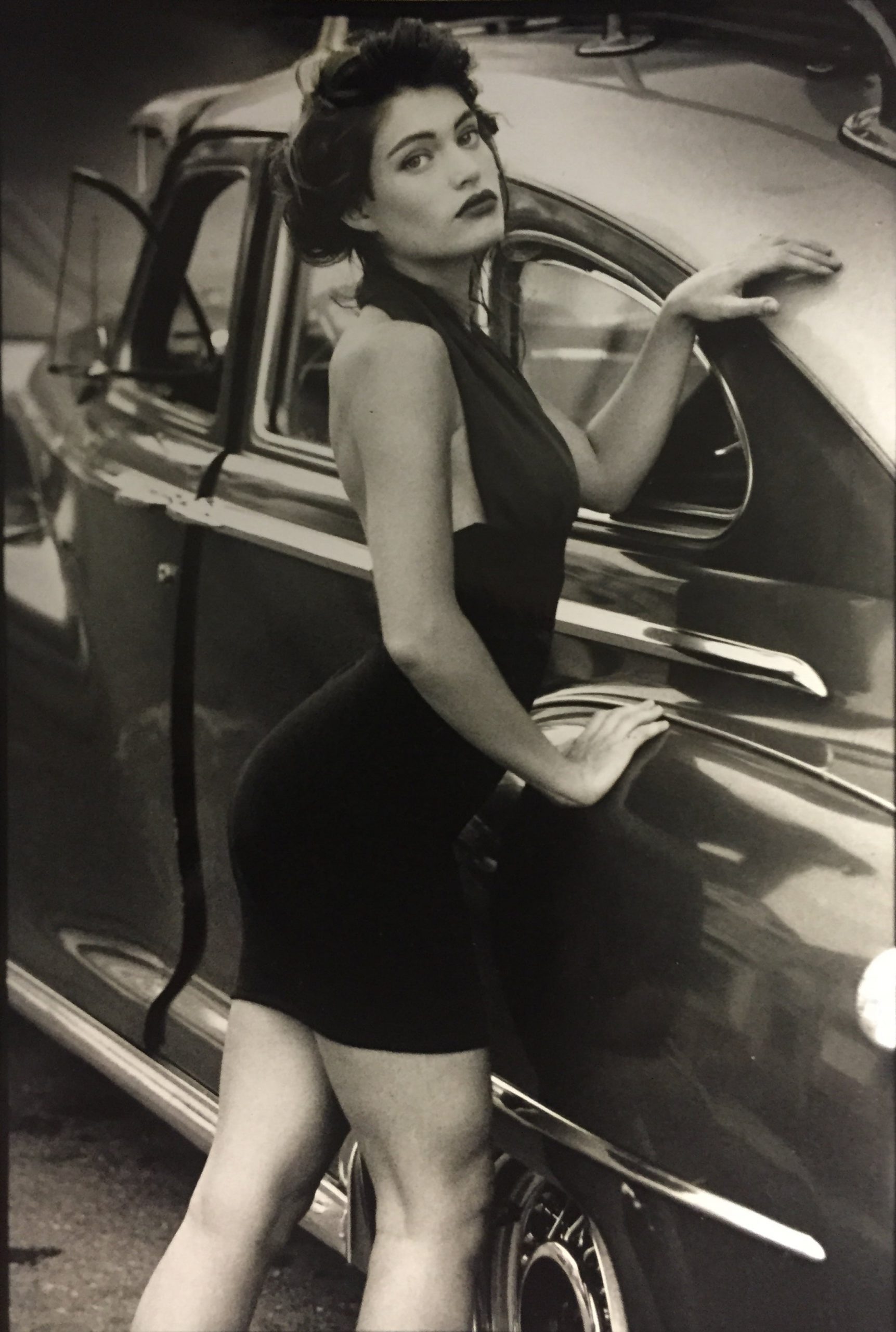 Kimberly Guilfoyle Wikipedia - s1q9byc