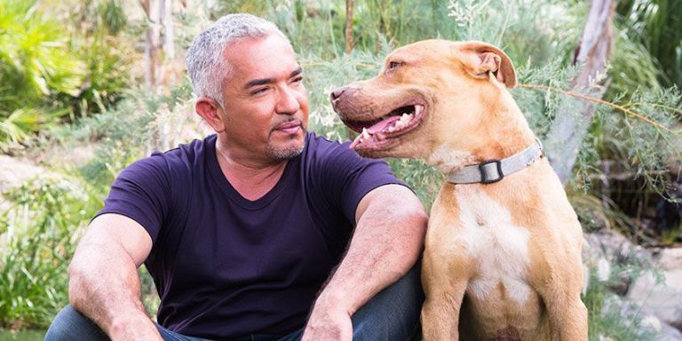 Who is Cesar Millan from 